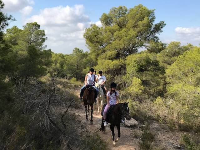 paseos caballo naquera valencia
