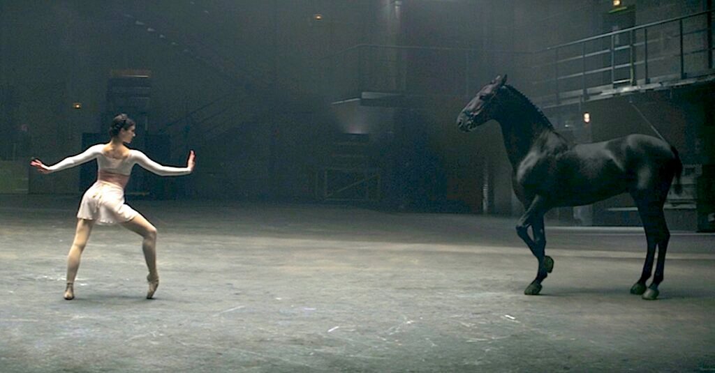 caballo bailador
