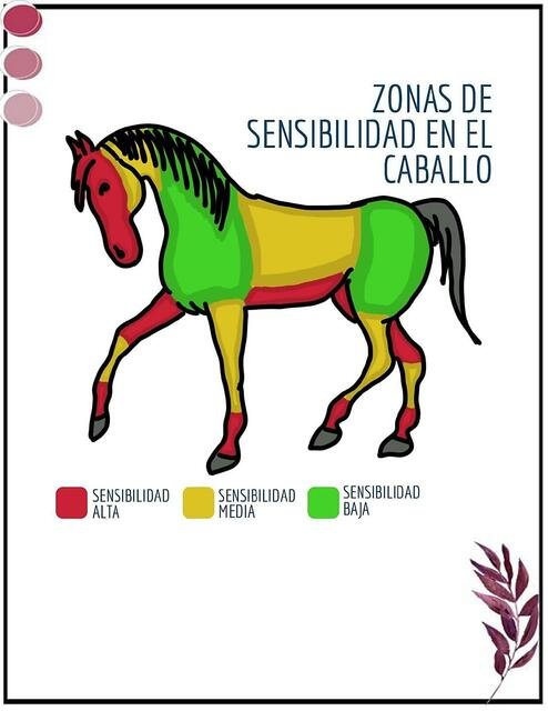 los caballos 