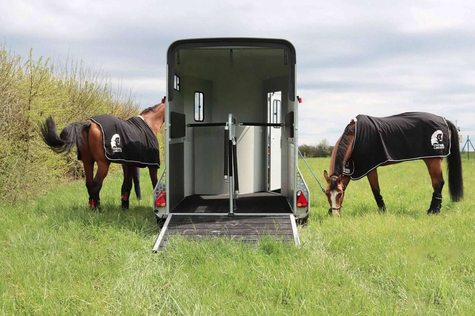 Cómo transportar a un caballo