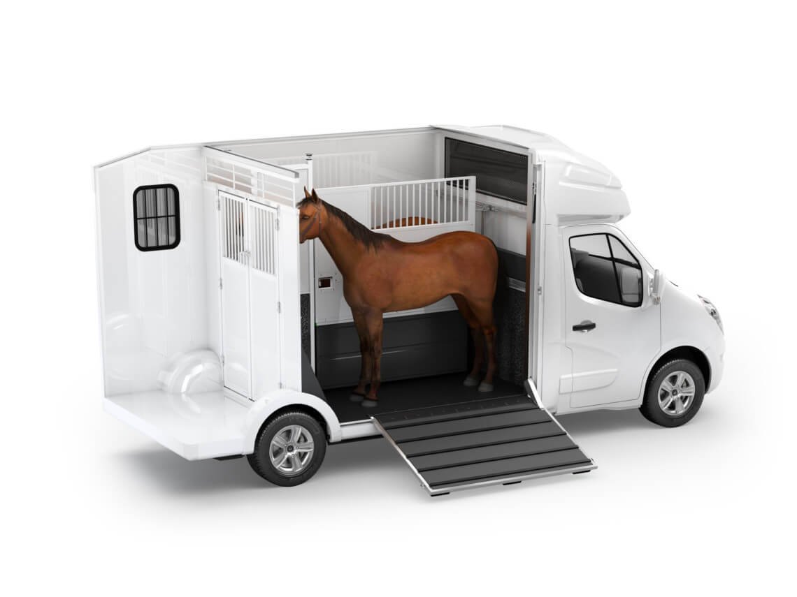 Cómo transportar a un caballo