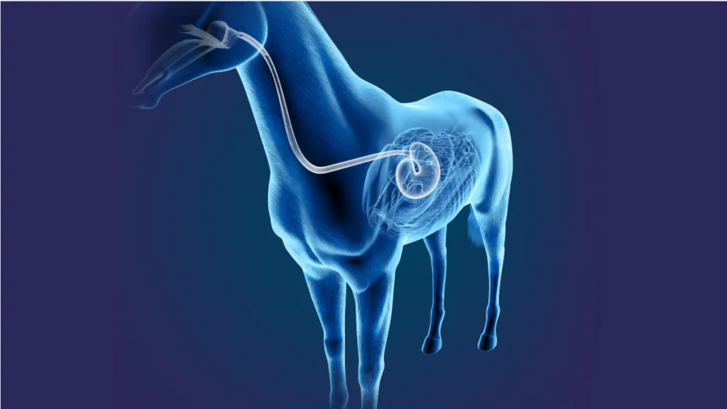 Microbiotica intestinal