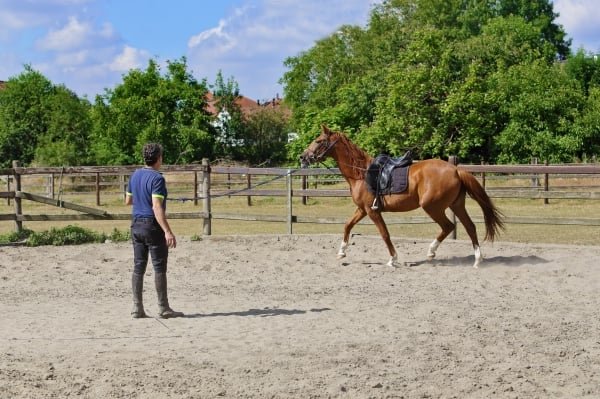 Trabajo a la cuerda control
