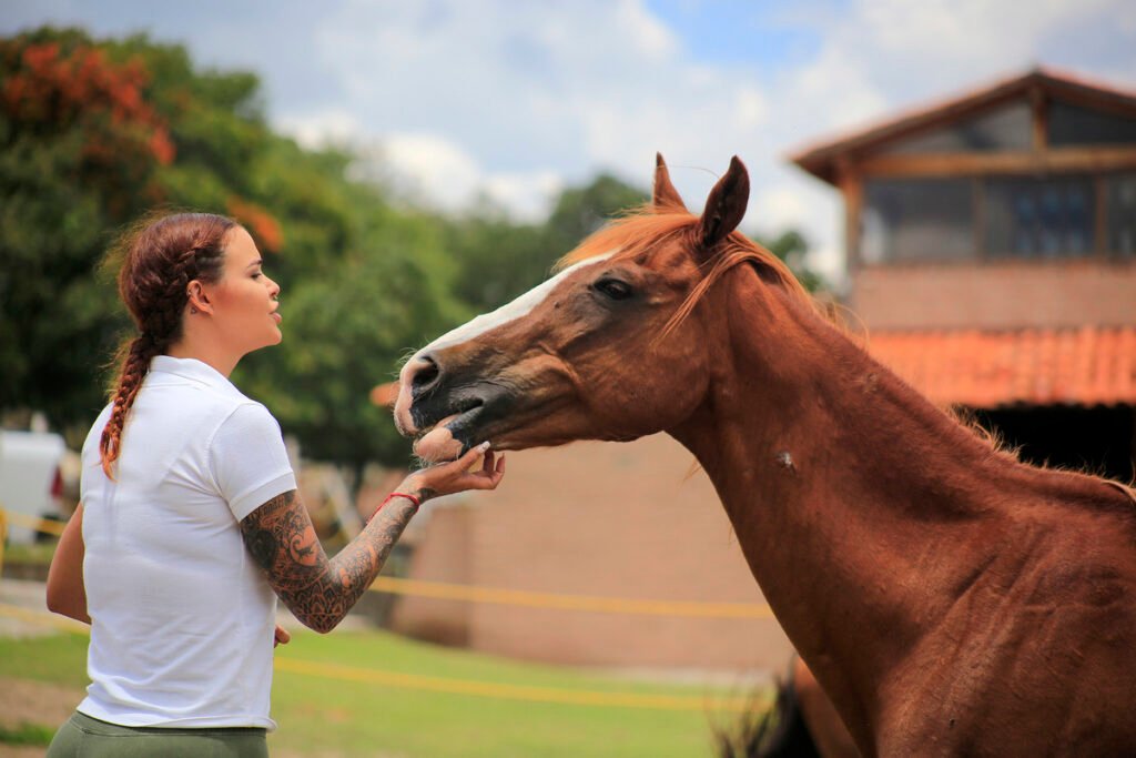 vivir caballos