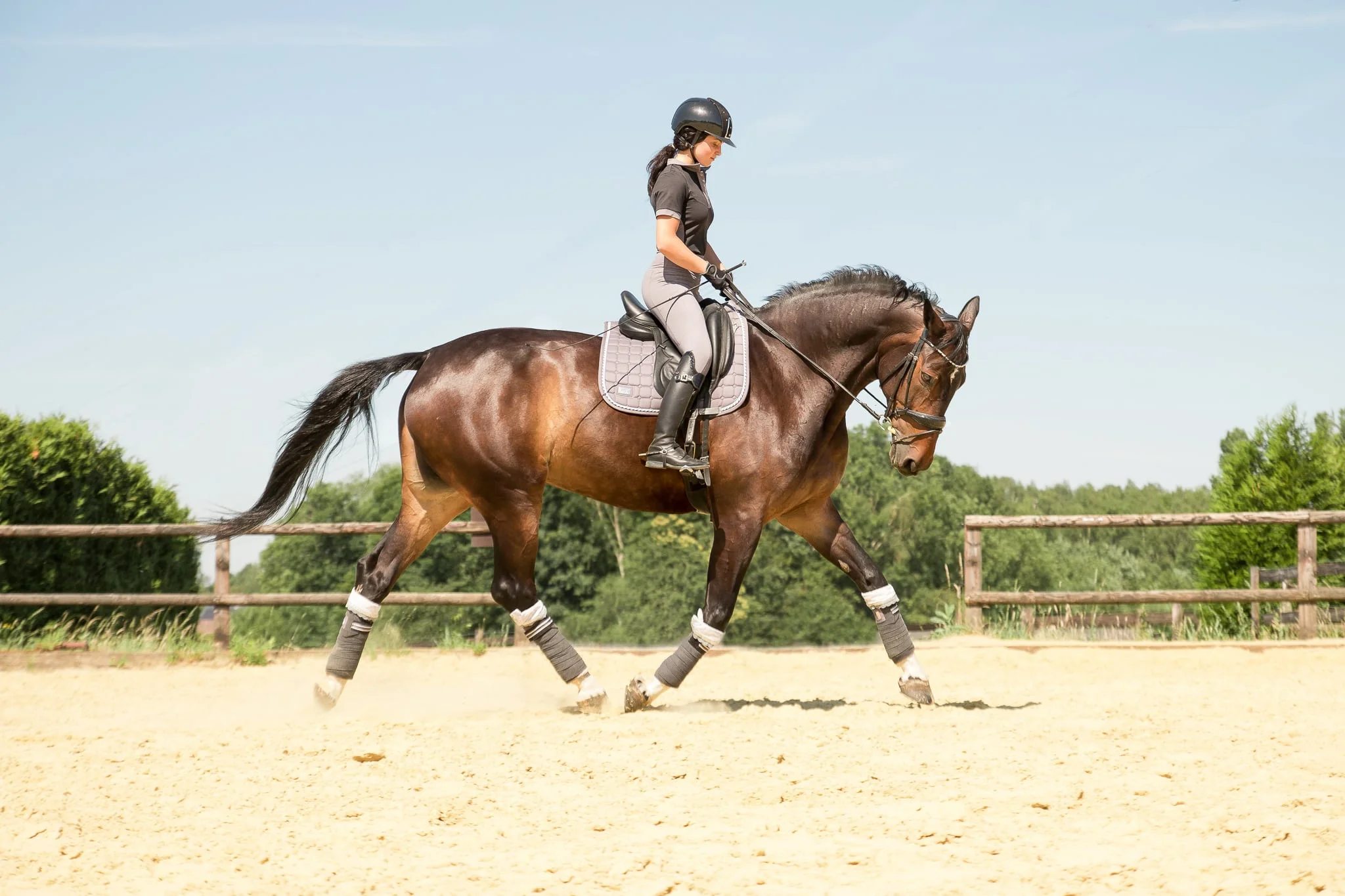 trotar a caballo