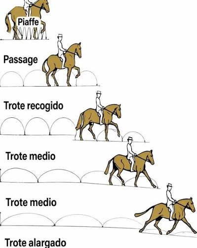trotar a caballo