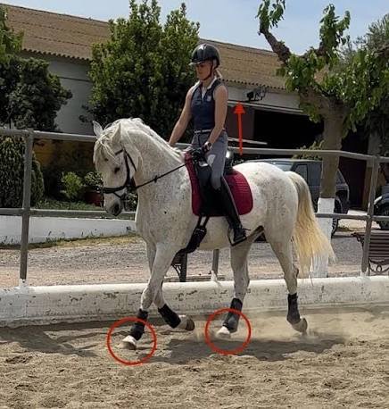 trotar a caballo