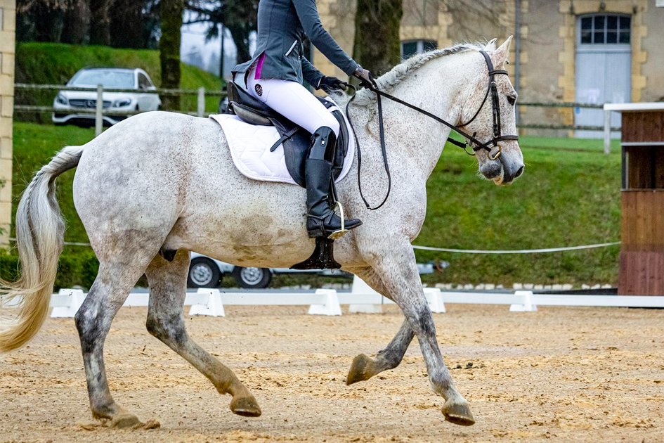 examen galopes valencia