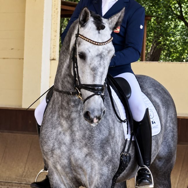 galopes valencia