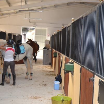 boxes para caballos naquera