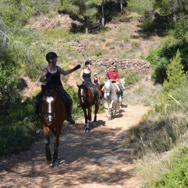 montar a caballo