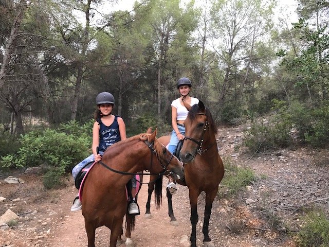 paseos a caballo valencia